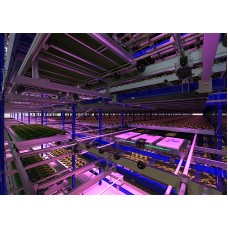Automated Vertical Farming System